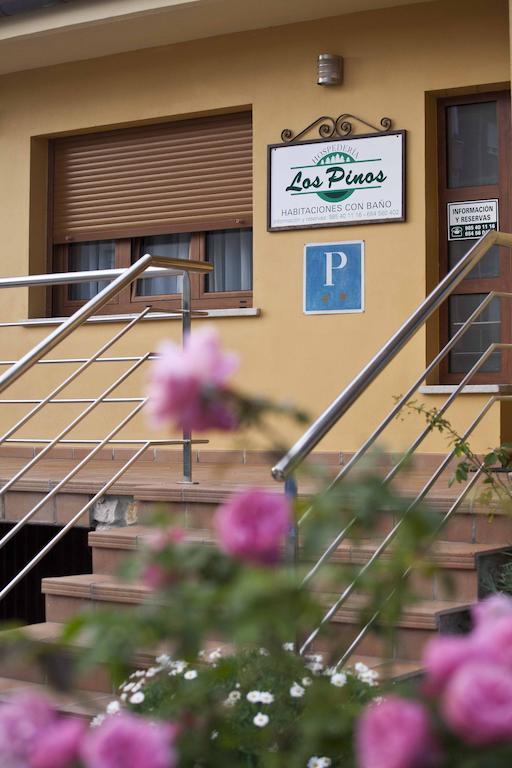 Guest house Hospederia Pinos 2*