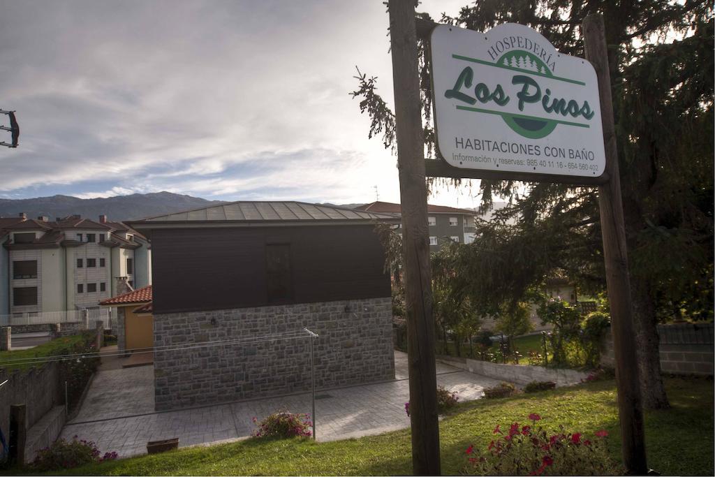 Guest house Hospederia Pinos